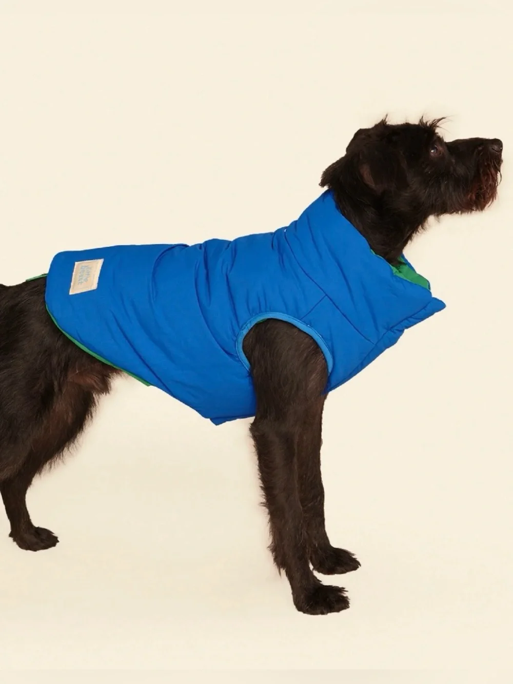 Reversible Blue Puffer Dog Coat by